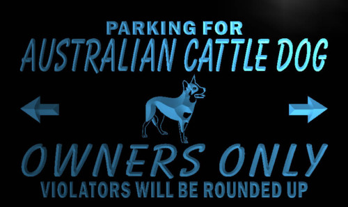 Australian Cattle Dog Owner Only Neon Light Sign